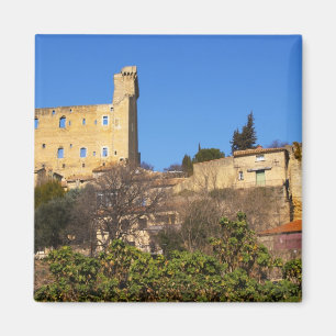 Aimant Les ruines du château d'été du Pape à