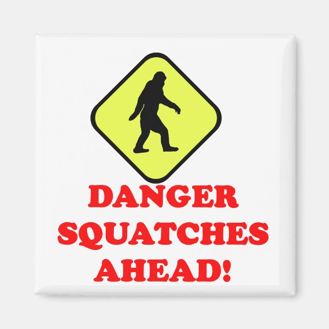 Aimant Les squatters de danger (Devant)