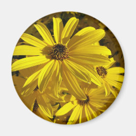 Aimant Les tournesols au zoo