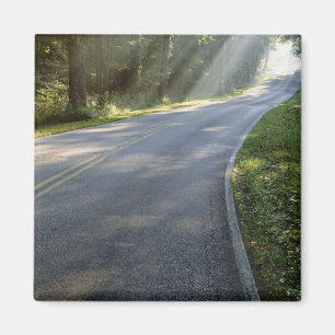 Aimant Lever du soleil par le brouillard le long de Green