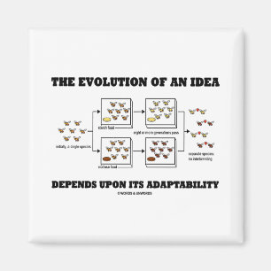 Aimant L'Évolution D'Une Idée Dépend De L'Adaptabilité