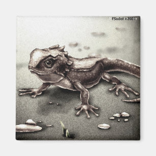 Aimant Lézard ANIML0017