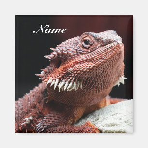 Aimant Lézard Dragon Barbu Rouge Adulte Personnalisé