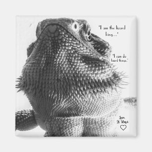 Aimant Lézard noir et blanc