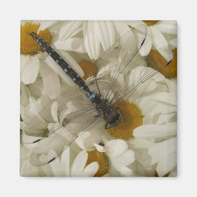 Aimant libellule (Devant)