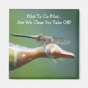 Aimant Libellule copilote drôle nature