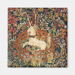 Aimant licorne captive