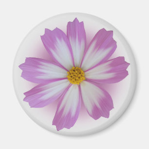 Aimant Light purple flower