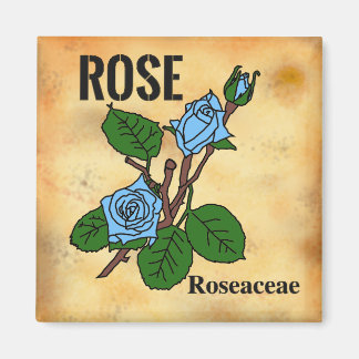 Aimant Ligne artistique Rose bleue dans le style de papie