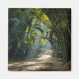 Aimant Lignes de Bambou