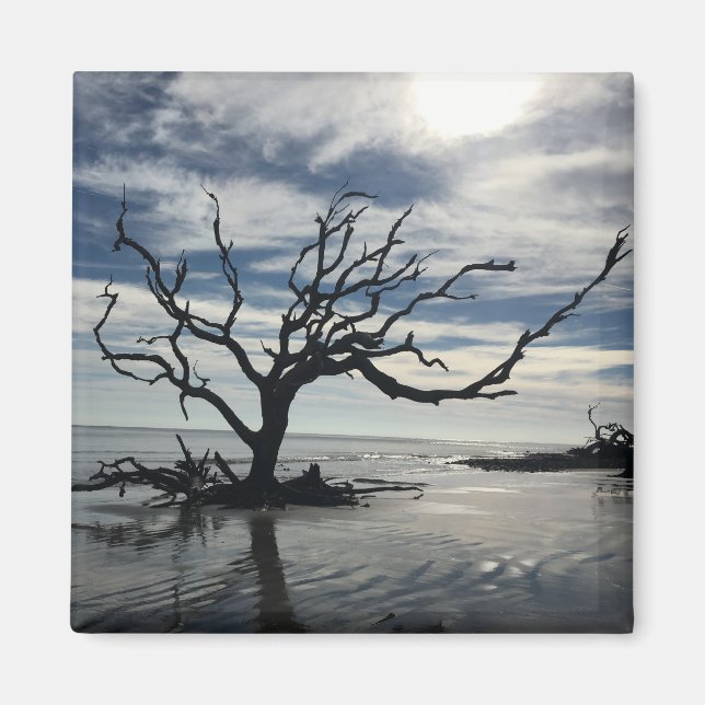 Aimant L'île de Jekyll Géorgie (Devant)