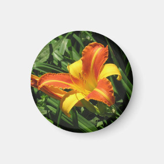 Aimant Lily orange et jaune