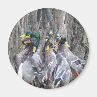 Aimant Limite du colard de chasse au canard