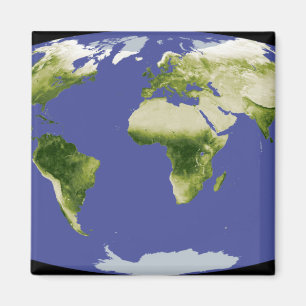 Aimant L'index normal de végétation de différence