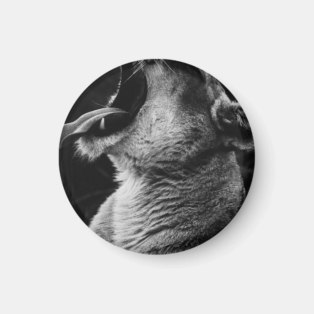 Aimant lion (Devant)