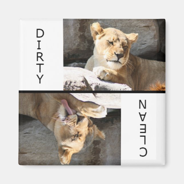 Aimant Lioness sale propre (Devant)