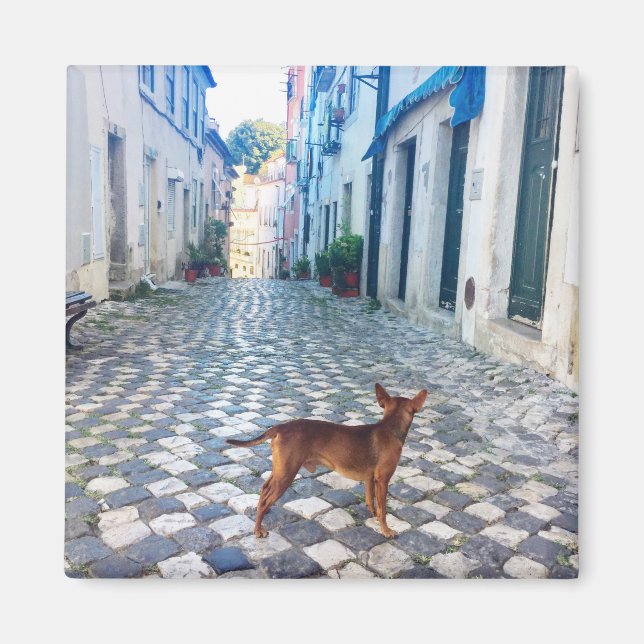 Aimant Lisbonne Puppy's Street View Portugal Photo (Devant)