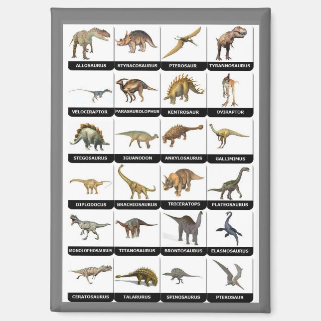 Aimant Liste des graphiques de dinosaures (Recto)