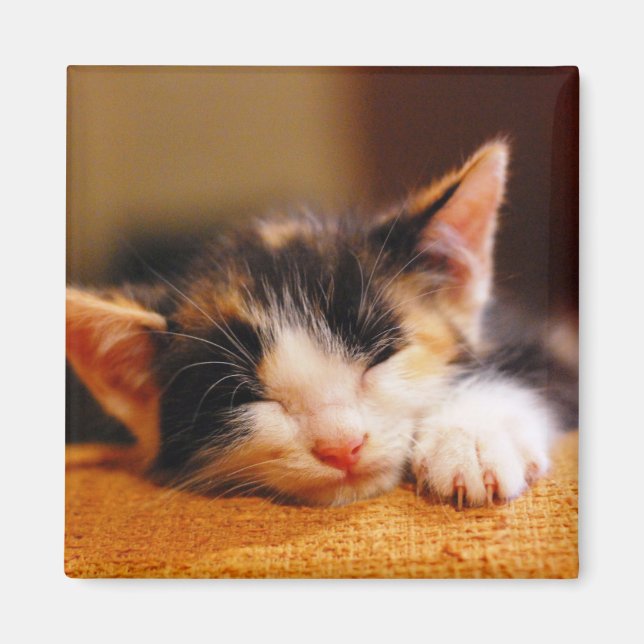 Aimant Little Kitty Dormait (Devant)