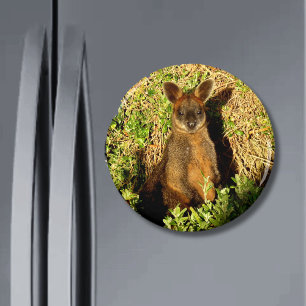 Aimant Little Wallaby