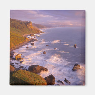Aimant Littoral aux séquoias, Californie