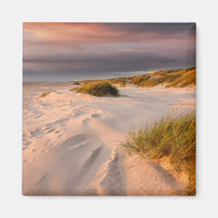 Aimant Littoral Saltum Beach, Danemark