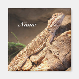 Aimant Lizard de dragon à oreilles pour bébés personnalis