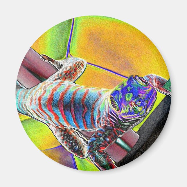 Aimant Lizard fluorescent (Devant)