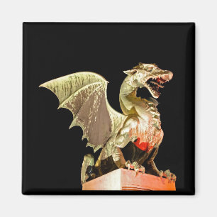 Aimant Ljubljana 01A