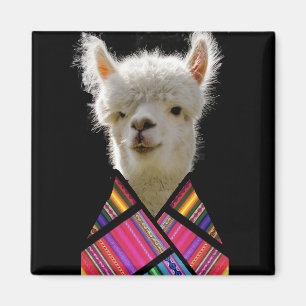 Aimant Llama colorée