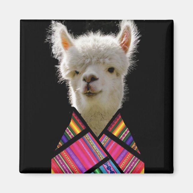 Aimant Llama colorée (Devant)