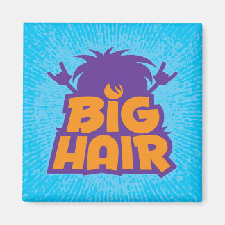 Aimant Logo Big Hair Band