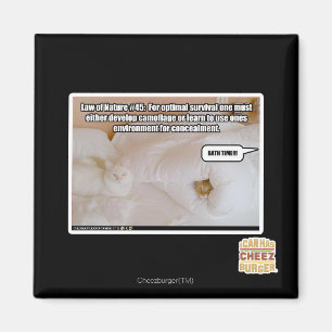 Aimant Loi de la nature #45