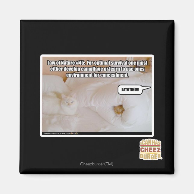 Aimant Loi de la nature #45 (Devant)