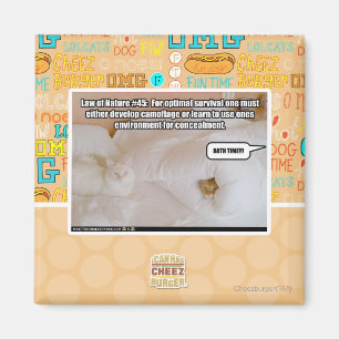 Aimant Loi de la nature #45