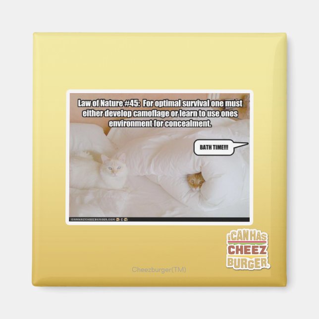 Aimant Loi de la nature #45 (Devant)