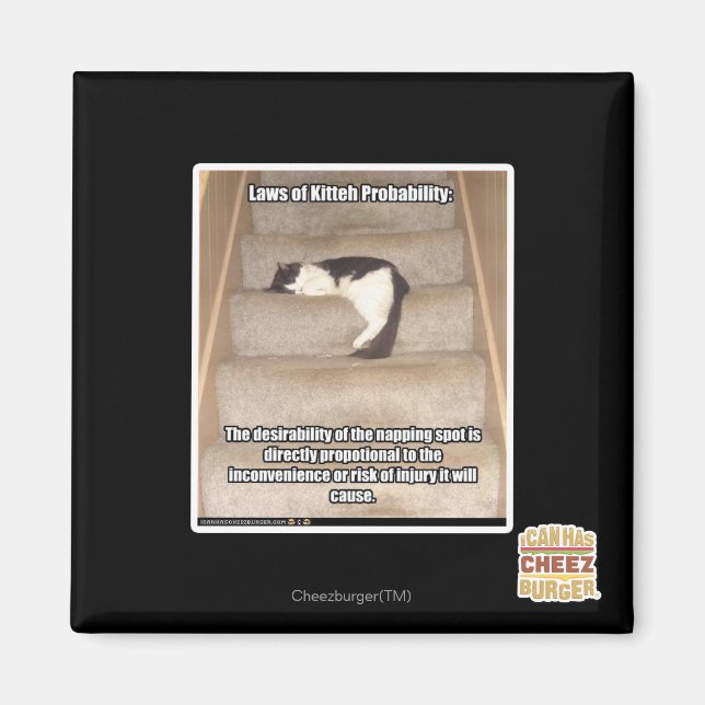 Aimant Lois de Kitteh Probabilité (Devant)