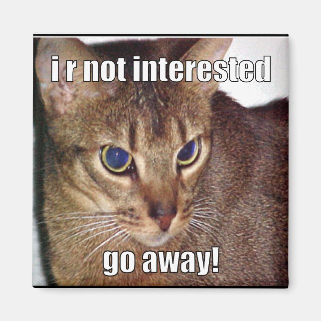 Aimant LOLCat 3 (Devant)