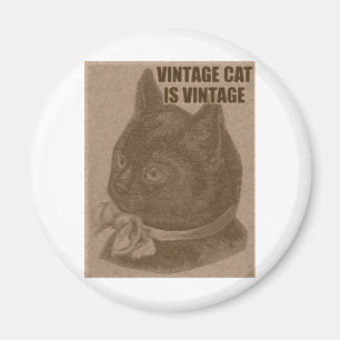 Aimant LOLcat d'antan