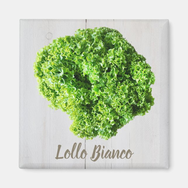 Aimant Lollo Bianco Salade feuilles de laitue pour Vegas (Devant)