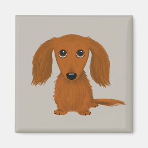 Aimant Long Haired Dachshund   Doxie mignon chien de dess