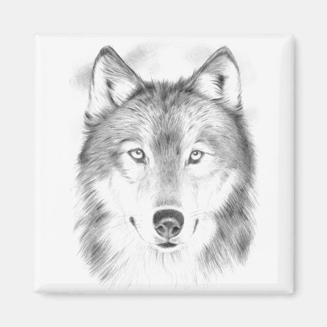 Aimant Loup (Devant)