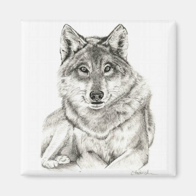 Aimant Loup (Devant)
