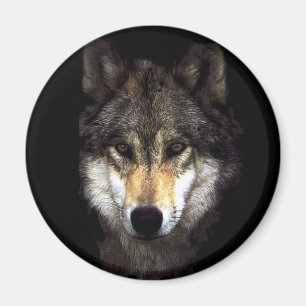 Aimant loup