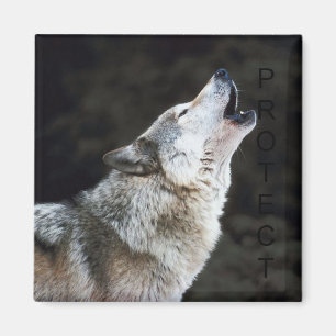 Aimant Loup d'hurlement