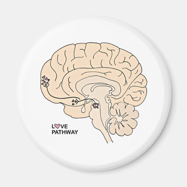 Aimant Love Pathway : L'amour dans le cerveau (Devant)