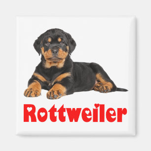 Aimant Love Rottweiler Brown & Black Chien Chien Chien Ca