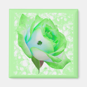 Aimant Lucky Green Rose, bouton
