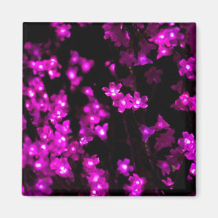 Aimant Lumières roses rougeoyantes de fleur