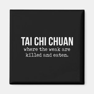 Aimant L'un de ces pratiquants de Tai Chi Chuan combat ch